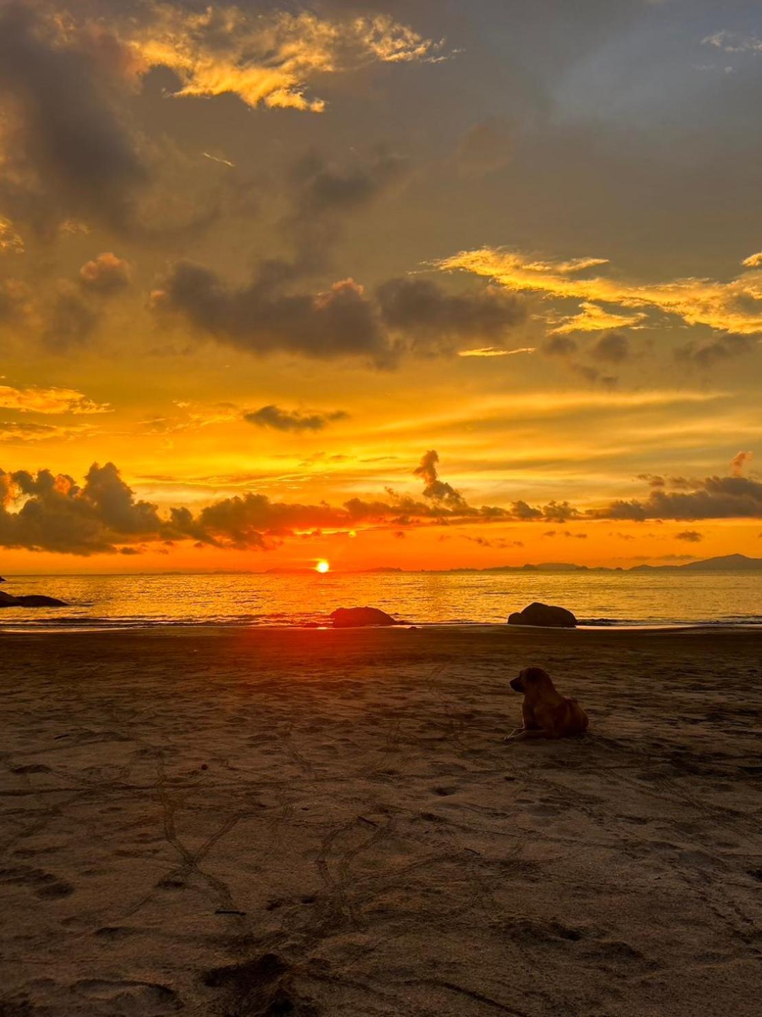 Lae Tawan Bungalow Ko Chang Ranong Exteriér fotografie